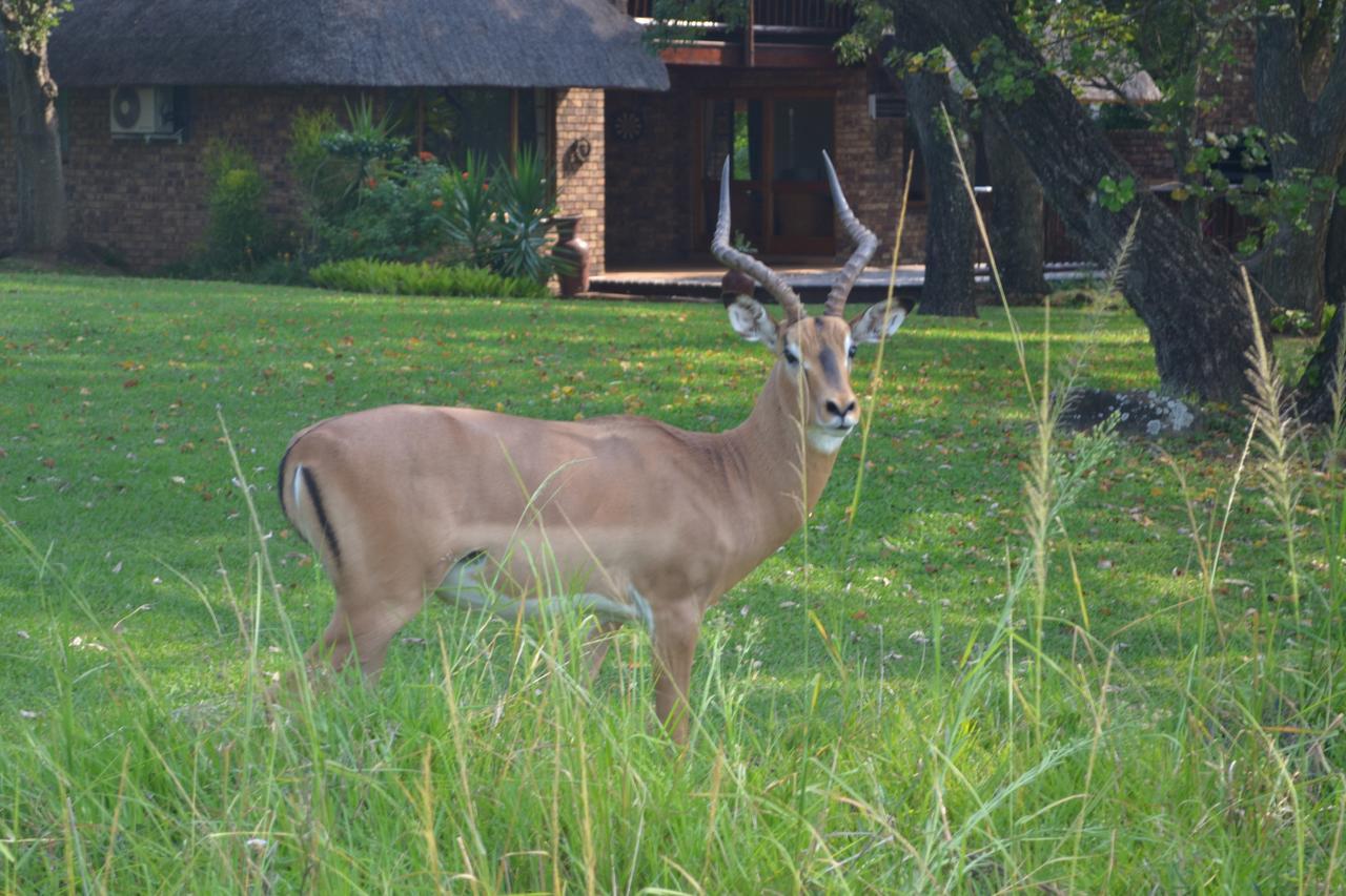 Kruger Park Lodge - Golf Safari Sa Hazyview Exterior photo