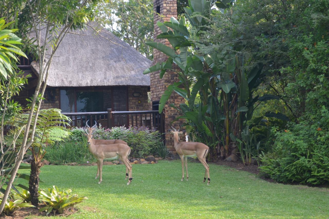 Kruger Park Lodge - Golf Safari Sa Hazyview Exterior photo